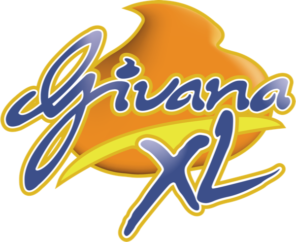 Givana XL glutenvrij VA Foods